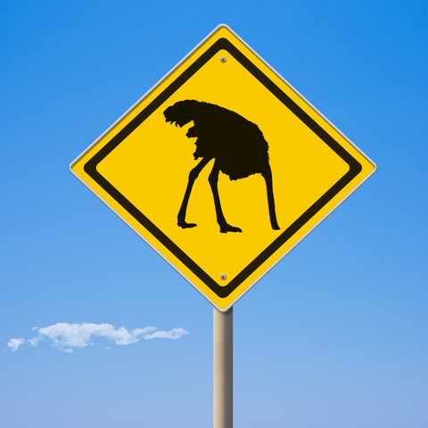 © Andreykuzmin  Dreamstime com - Caution Ostrich Ahead Yellow Road Sign Photo